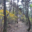 비학산 누리길 이미지