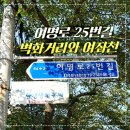 여명로 이미지