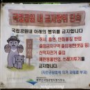 국수나무양주 | 양주 송추계곡: 여름 물놀이하기 좋은 서울 근교 계곡