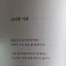 손민준 Daum카페