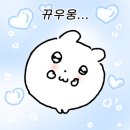 우주세탁소 이미지