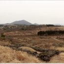 안녕 제주 이미지