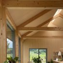 백설애견 이미지