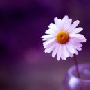 건널목 앞 이미지