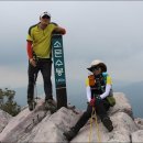 여름향기 이미지