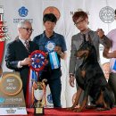 오공이 농장 이미지