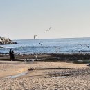 진등3길 이미지