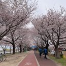 구덕운동장 회전교차로 이미지