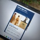 (주)미래생명그룹 | NK세포활성도검사 받아볼까 해서 정리해본 내용 공유