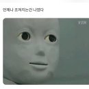죽지도 않고 또 버티고 살았네