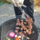 카라반2696 이미지