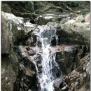 대운산 내원암 계곡 이미지