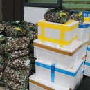 봉곡동303 이미지