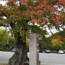 나드리까페 이미지