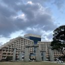 눈이부시개PET | [강원 고성] 소노벨 델피노 리조트 스위트 Pet Friendly 설악산뷰 애견동반 여행