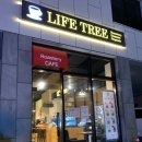 라이프트리 Life Tree