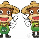 홍성한우 이미지