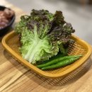 분당-294 이미지