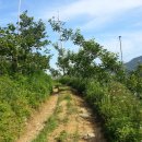 축복농장 이미지