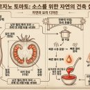 산-내재된균형 이미지