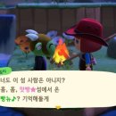 [모동숲] 마일섬 노가다로 귀여운 빙티 겟! +마일 희귀섬 후기(돈바위섬, 교배꽃섬)