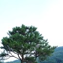 양평소나무펜션 이미지