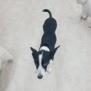 연산유치원 이미지