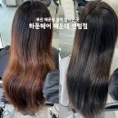 헤어204 | 부산 해운대 염색 하둔헤어 해운대 센텀점 탈색없이 애쉬브라운 후기