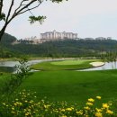 오투골프 이미지