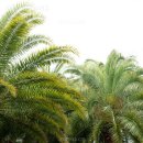 고하농장 이미지