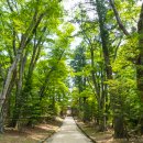 합천스크린골프연습장 이미지