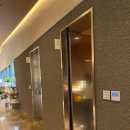 정원설악IC주유소 | [내돈내산] 가평 베이커리 카페 야외 정원이 있는 대형카페 몽브레뉴 이용후기