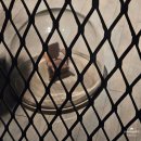 재봉 바느질 | <루이즈 부르주아: 덧없고 영원한> 호암미술관: 부르주아의 글쓰기 · 천 작품, 밀실, 재봉, 파쇄기