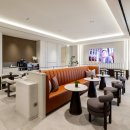 파라다이슨 이미지