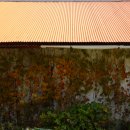 청암면사무소 이미지