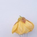 예쁜이야기