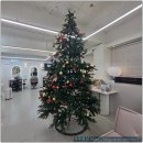 멍쌤 펫 살롱 | 가족 모두 만족한 수원헤어샵 그로잉살롱 북수원SK자이점 체험 후기