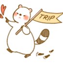 엘레망 이미지