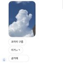 몽글그루밍 이미지