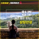 멋진강아지 | 청주 애견 동반 여행 - 가을 강아지랑 상당산성 산책 코스, 주차장 후기