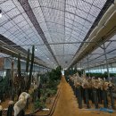 부부농장 | 서울근교 아기랑 &#39;칵티부부&#39; 선인장농장 내돈내산 후기 (유아실내체험, 모래놀이)