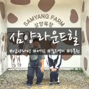 삼양라운드힐/ 삼양목장에서 꼭 경험해야할 것