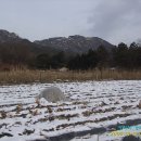 삼거리철물점 - 여수시 주삼덕양로 16 | 삼거리철물점