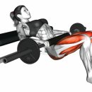 Y GYM 휘트니스 이미지