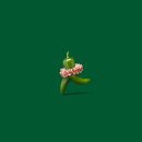 안나푸드 - 아산시 월암로 376 | 안나푸드