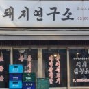 바다꽃드새우