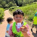 용인대한별태권도장