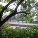 돌뫼농원 이미지