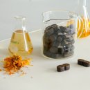 댕댕이의 하루 이미지