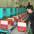 예천군농산물산지유통센터 이미지